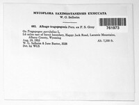 Image Associated With the Occurence